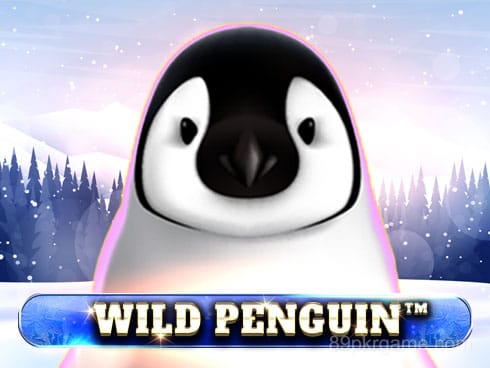 Wild Penguin